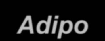 adiponectin caveolin