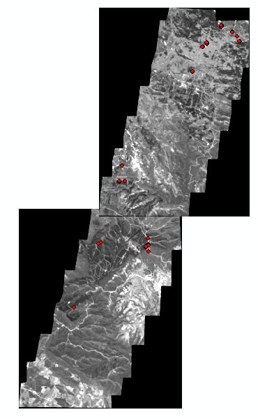 12 Οι μετρήσεις έγιναν εκατέρωθεν των δρόμων, γιατί σε αντίθετη περίπτωση δε θα ήταν εφικτό να ληφθούν υψόμετρα στο επίπεδο της βάσης του δέντρου.