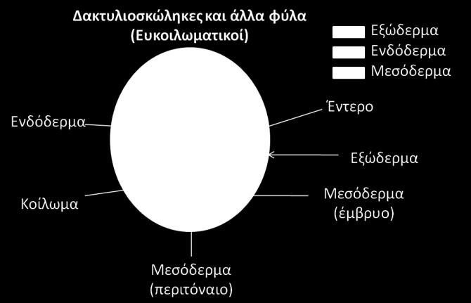 δευτερογενούς απώλειάς του.