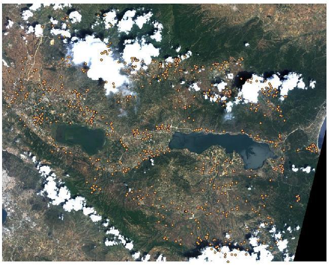 Στο Σχήμα 4.4 που ακολουθεί αποτυπώνεται η θέση των υφιστάμενων κτηνοτροφικών μονάδων στην περιοχή της Μυγδόνιας λεκάνης όπως αυτές έχουν καταγραφεί από τον Φορέα Διαχείρισης Λιμνών Κορώνειας Βόλβης.