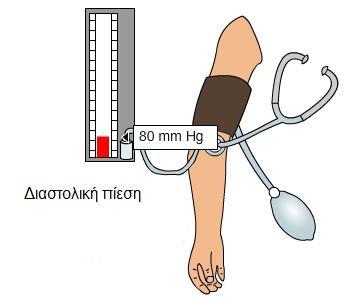 ΚΡΙΤΗΡΙΟ ΑΞΙΟΛΟΓΗΣΗΣ 1. Η διαστολική πίεση συσχετίζεται με α. με συστολή των κόλπων της καρδιάς β. με διαστολή των κόλπων της καρδιάς γ. με συστολή των κοιλιών της καρδιάς δ.