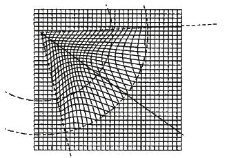 παραµορφώσεων (delineated deformation field).