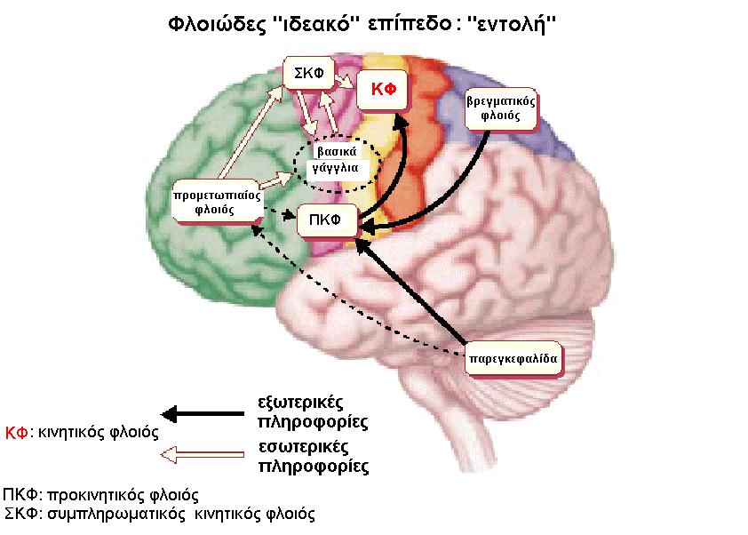 Οργάνωση - σύλληψη ιδέας κίνησης σχηματισμός
