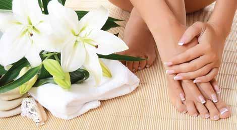 Nail Care Services Manicure - Pedicure Basic Manicure - Απλό Μανικιούρ 45 / 30.00 Spa Manicure 60 / 40.00 Basic Pedicure - Απλό Πεντικιούρ 45 / 40.