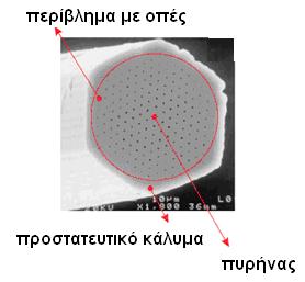 Κεφάλαιο 1 a = 2 π A ρe e 3 4 W R 2 3ρV 2 WR V 4PW + ρ 2 W (1.