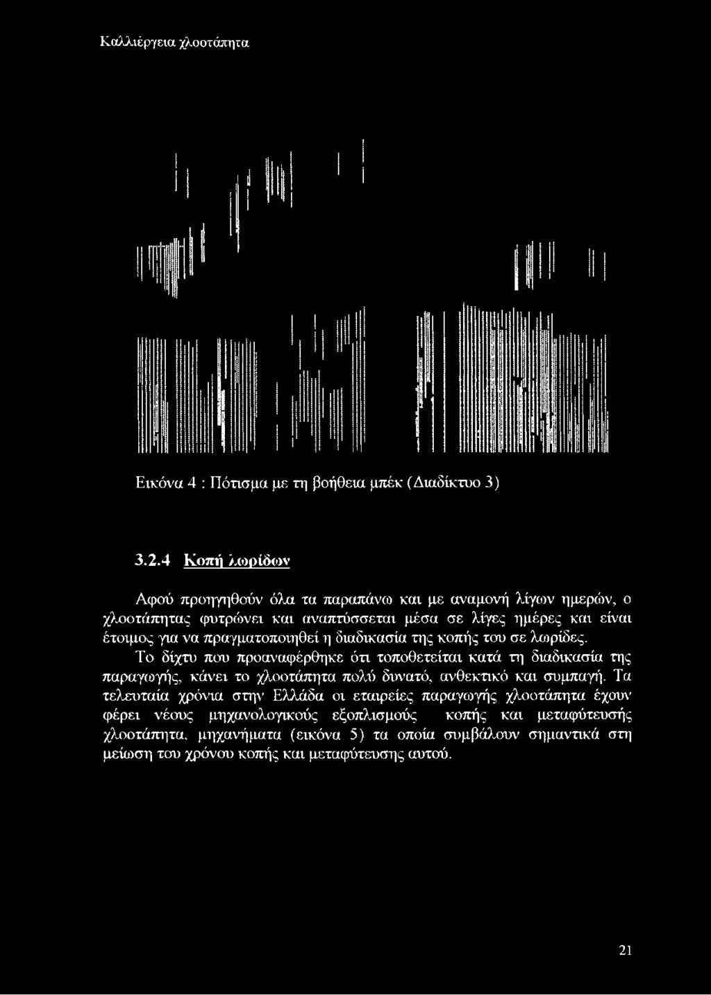 Καλλιέργεια χλοοτάπητα Εικόνα 4 : Πότισμα με τη βοήθεια μπέκ (Διαδίκτυο 3) 3.2.