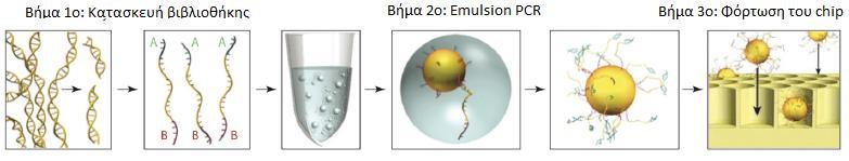 των γενετικών αναλυτών της Ion Torrent (PGM, Proton) και των γενετικών αναλυτών της Illumina (ΗiSeq, Genome analyzer lix και MySeq).