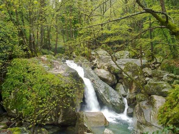 2 η µέρα: Γύρος Πηλίου (Μηλιές Τσαγκαράδα Χάνια Πορταριά Μακρινίτσα) Πλούσιο πρωινό και οι οµορφιές του Πηλίου µας περιµένουν να µας µαγέψουν.