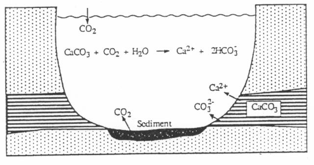 Ισορροπία μεταξύ CO 2