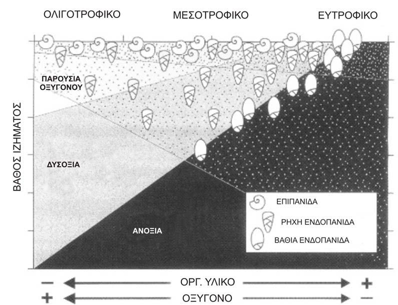 Εικόνα 1.1: Μοντέλο TROX (TRophic OXygen) όπου απεικονίζεται γραφικά η ταξινόμηση των μικροοργανισμών ως προς το βάθος με βάση τη διαθεσιμότητα οξυγόνου και οργανικού υλικού (Jorissen et al., 1995).