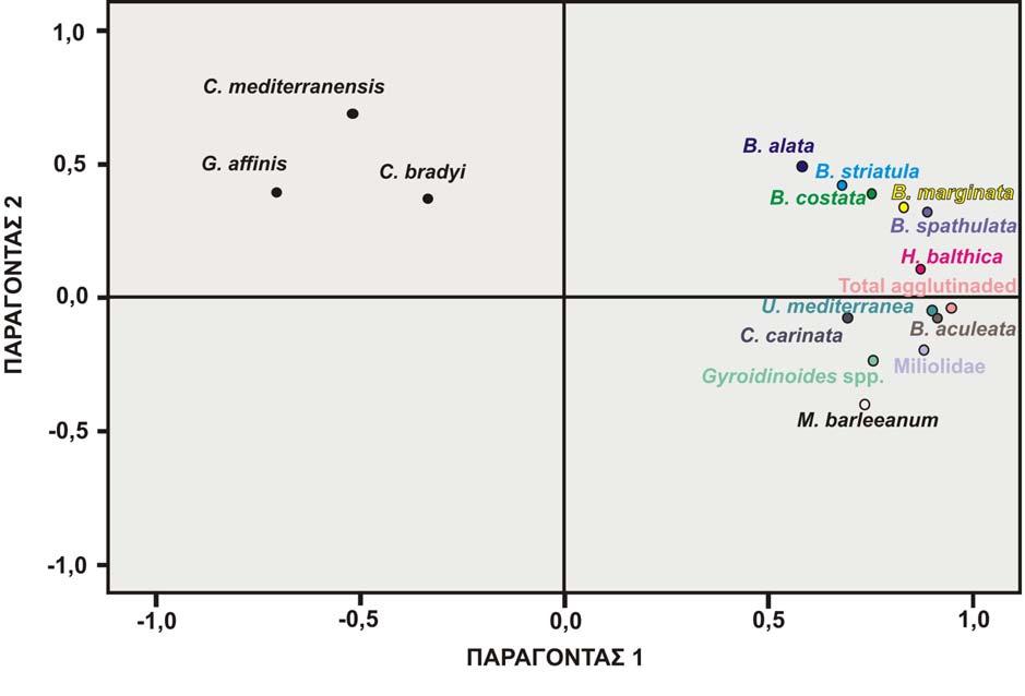 για την παρουσία οξυγόνου και οργανικού άνθρακα τη χρονική περίοδο όπου αποτέθηκε ο σαπροπηλικός ορίζοντας S1. Σύμφωνα με το διάγραμμα αυτό (εικόνα 6.1), τα είδη C. mediterranensis, G. affinis, και C.