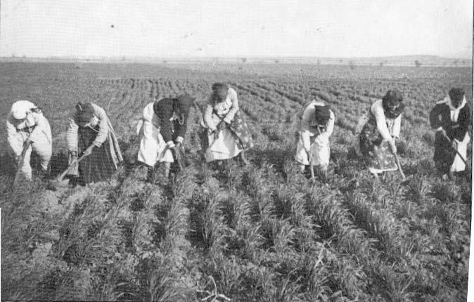 Αγρότης Ο αγρότης μέχρι και μερικές δεκαετίες πριν, ήταν η πιο συνηθισμένη δουλειά στην ελληνική επαρχία.