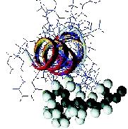 1 Å μ μ Ì μ³μëμ μ Ê μ (11-Í - É ² ³); 2 Å μ ( μ μ Ì μ³μëμ μ Ê Ò) ³ Ò² μ Ò Î ÉÒ ± É Î ÒÌ μé±²μ H-VI α- ² ²Ö μ μ μ μ μ μ μ (. 3).