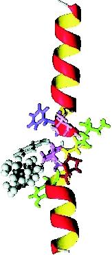 236 ²Ó ³.., μ²³ê μ μ.., É μ ± Œ.. Ò μ ÊÕ ± ÊÎ ÊÕ ±μ Ë Ê Í Õ β- μ μ μ μ μ ±μ²óí.