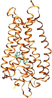 230 ²Ó ³.., μ²³ê μ μ.., É μ ± Œ.. É μ Ö ÓÕÉμ μ ± Ì Ê Ö Ò² Ò Ò³ 1 Ë, É ± ³ μ μ³ μ Ð ³Ö ³μ ² μ Ö μ É ²μ 3. Œμ ² μ μ μ Ò²μ μ μ μ μ³ É μ μ²ó μ ³ μ ³³ μ μ ± É AMBER5.0 (Parm94) [30Ä32] μ ³μ Ë Í μ μ AMBER7.