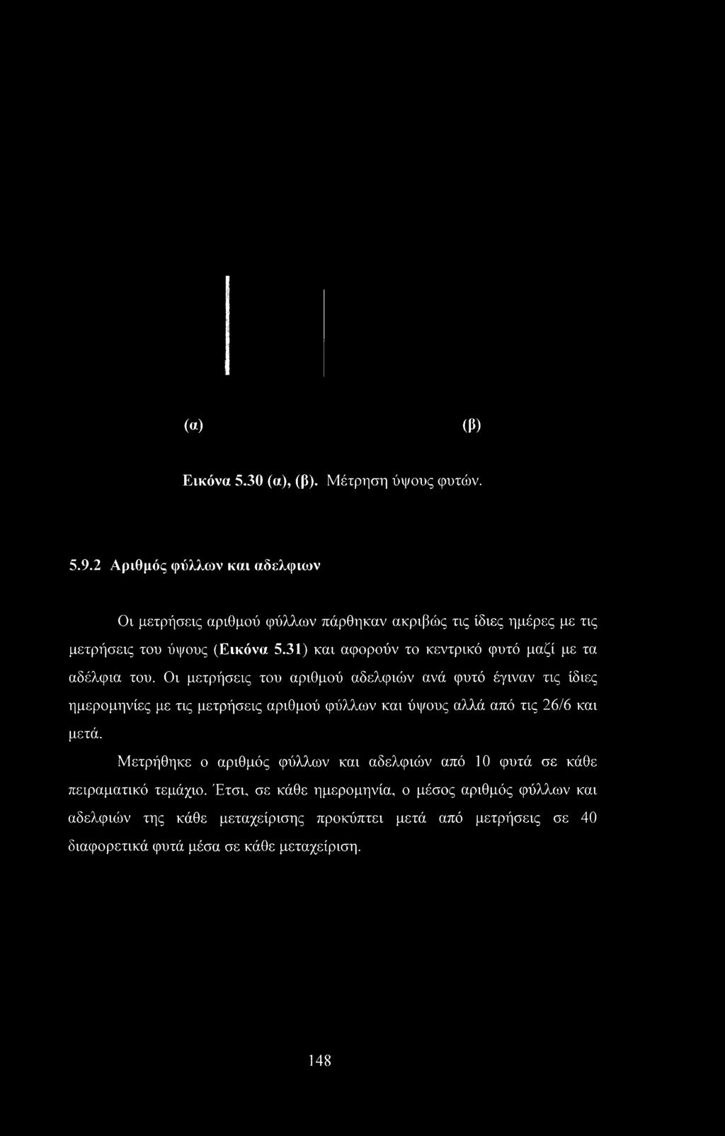 31) και αφορούν το κεντρικό φυτό μαζί με τα αδέλφια του.