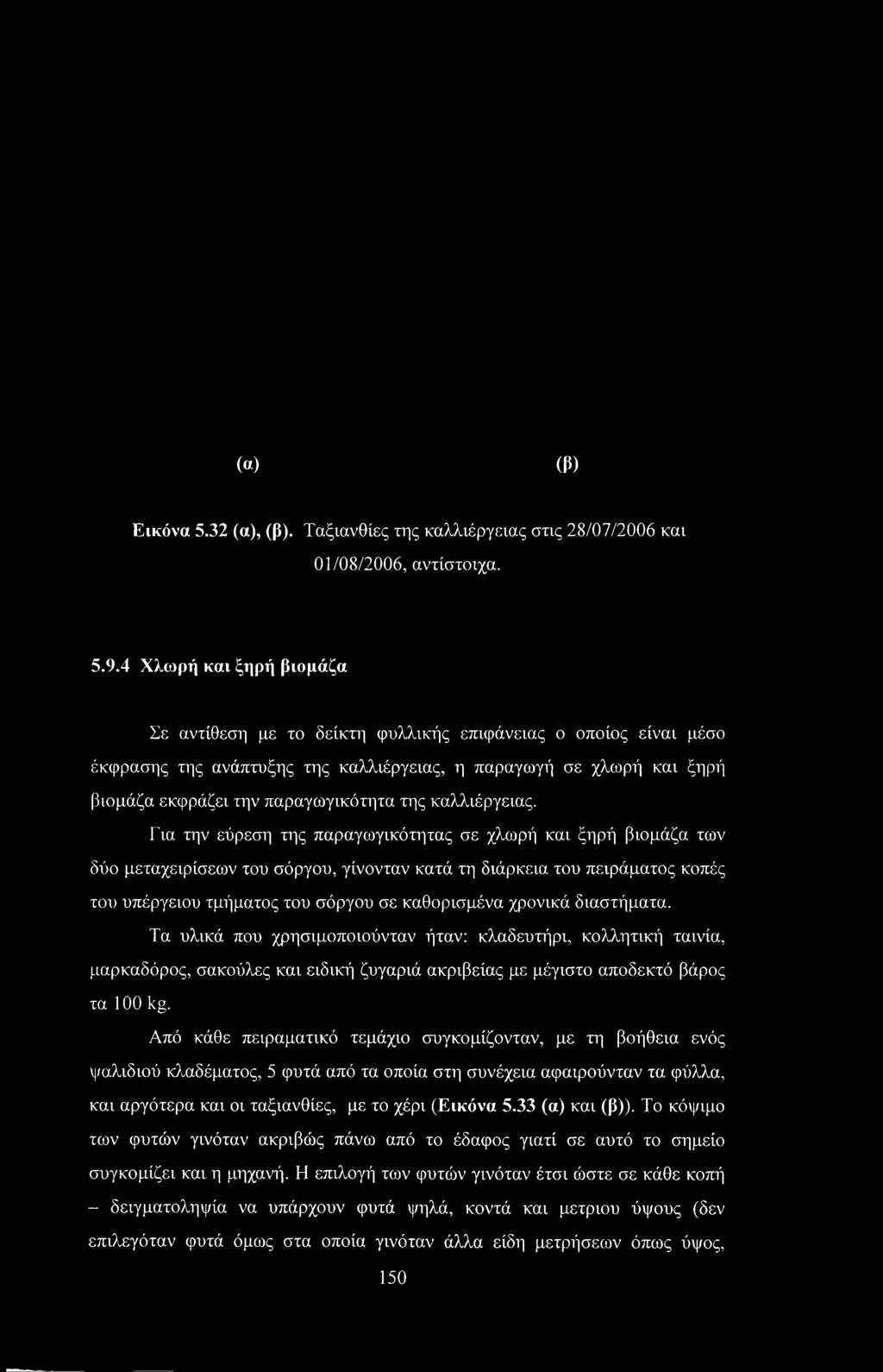 («) (β) Εικόνα 5.32 (α), (β). Ταξιανθίες της καλλιέργειας στις 28/07/2006 και 01/08/2006, αντίστοιχα. 5.9.