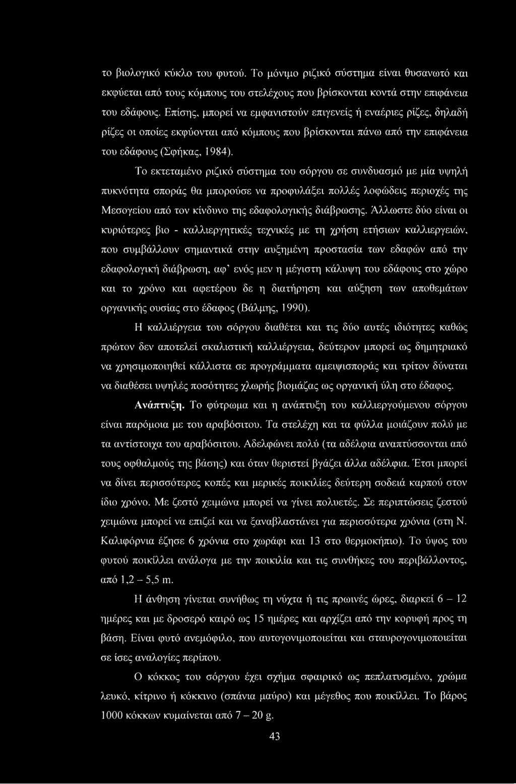 Το εκτεταμένο ριζικό σύστημα του σόργου σε συνδυασμό με μία υψηλή πυκνότητα σποράς θα μπορούσε να προφυλάξει πολλές λοφώδεις περιοχές της Μεσογείου από τον κίνδυνο της εδαφολογικής διάβρωσης.