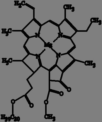 32 6CO 2 + 6H 2 O + hv (ακτινοβολία) (CH 2 O) 6 + 6O 2 Διαγραμματική παρουσίαση της πορείας των αντιδράσεων της φωτοσύνθεση μέσω του Κύκλου Κάλβιν Χλωροφύλλη α Χημικός τύπος Χλωροφύλλης α, χρωστική