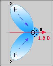 D (διπολική ροπή) λόγω διαφορετικής ηλεκτραρνητικότητας του οξυγόνου και των υδρογόνων Σχήμα 3.4.