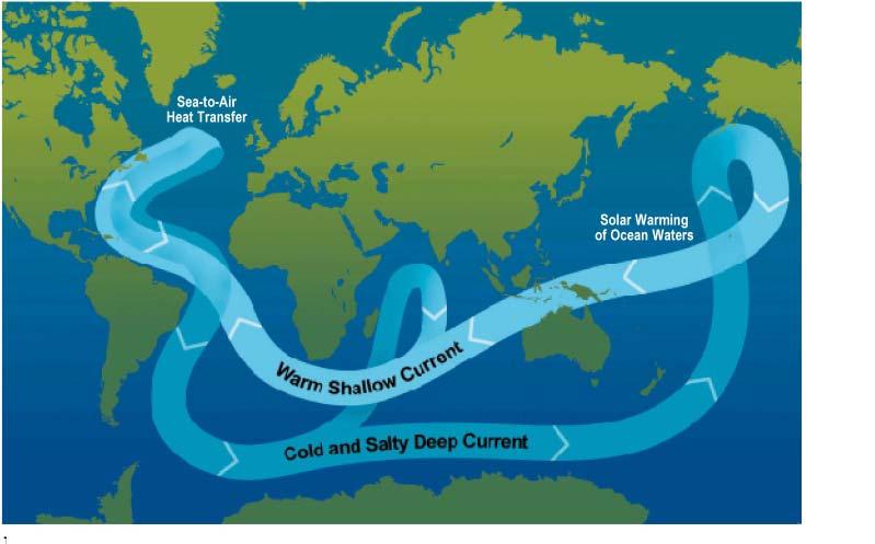 Οι Χημικές Ενώσεις που Δημιούργησαν τη Ζωή στον Πλανήτη Γη Κεφάλαιο 3 Σχήμα 3.9. Σχηματική αναπαράσταση του ιμάντα των Ωκεάνιων επιφανειακών ρευμάτων (Ocean Conveyor Belt).