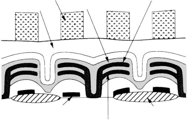 Cell Plate Si Capacitor Insulator Refilling