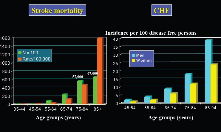 Incidence of Stroke Mortality