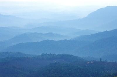 Έκλυση τερπενοειδών σε μεγάλη κλίμακα: Smoky mountains "The king emitters are oaks," Wennberg says.