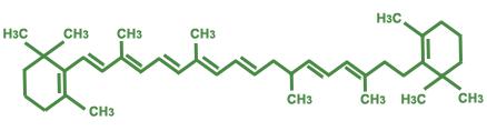 βιταμίνης Α, και τις ξανθοφύλλες, οι οποίες είναι οξυγονομένα παράγωγα τους.