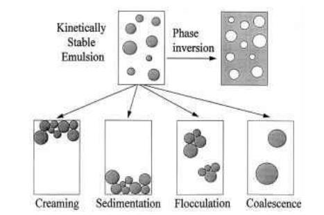 Εικόνα 9. Σχηματική απεικόνιση των μηχανισμών αποσταθεροποίησης των γαλακτωμάτων. 4.5.