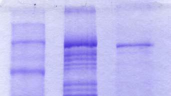 155 (B) 1 2 3 225 150 100 Σχήµα 3.26.