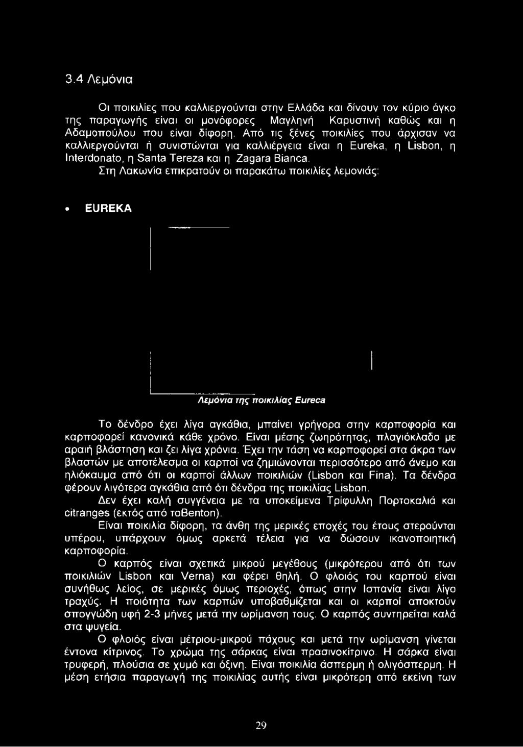 3.4 Λεμόνια Οι ποικιλίες που καλλιεργούνται στην Ελλάδα και δίνουν τον κύριο όγκο της παραγωγής είναι οι μονόφορες Μαγληνή Καρυστινή καθώς και η Αδαμοπούλου που είναι δίφορη.