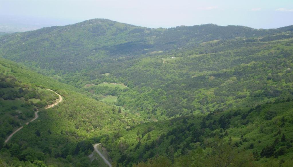 Φυσικό περιβάλλον του Ολύμπου Πρόκειται για μια περιοχή με υψηλή