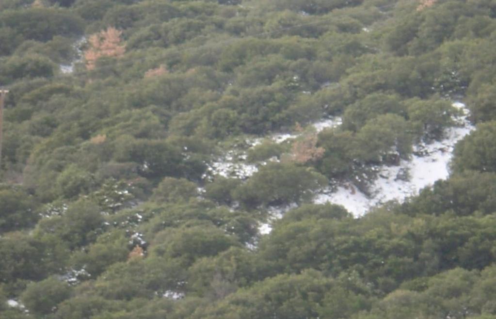 Η κατάσταση του φυσικού περιβάλλοντος αντανακλάται από το βαθμό κοινωνικής, οικονομικής και πολιτιστικής ανάπτυξης. Η Ελλάδα από άποψη δασοκάλυψης καταλαμβάνει την τελευταία θέση στην Ευρώπη.