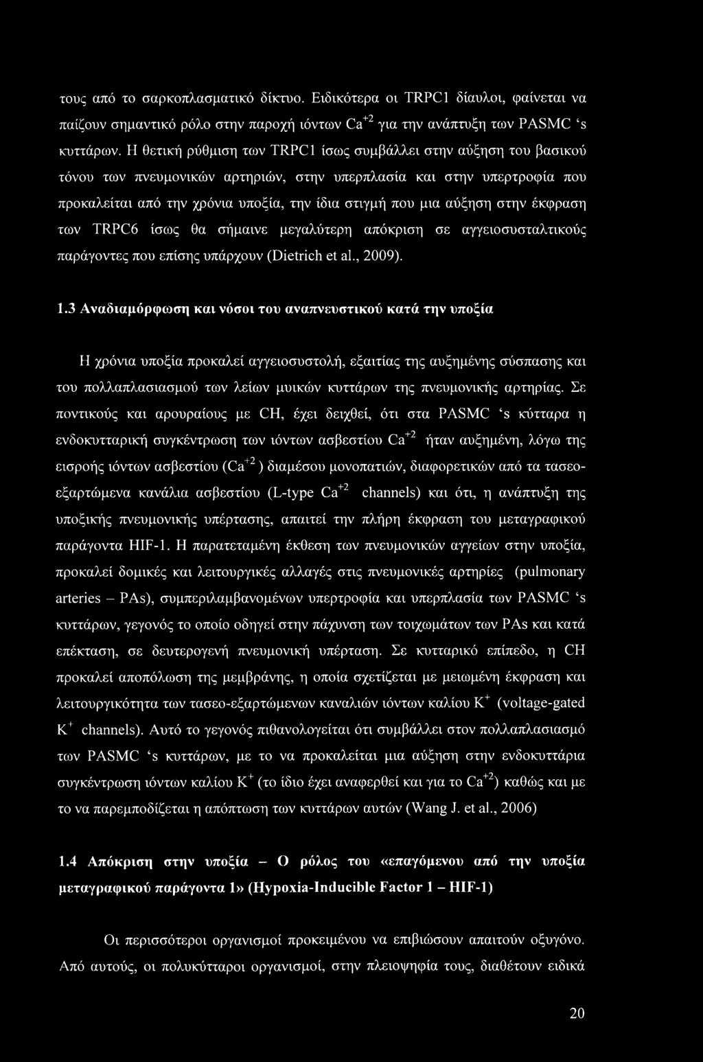 αύξηση στην έκφραση των TRPC6 ίσως θα σήμαινε μεγαλύτερη απόκριση σε αγγειοσυσταλτικούς παράγοντες που επίσης υπάρχουν (Dietrich et al., 2009). 1.