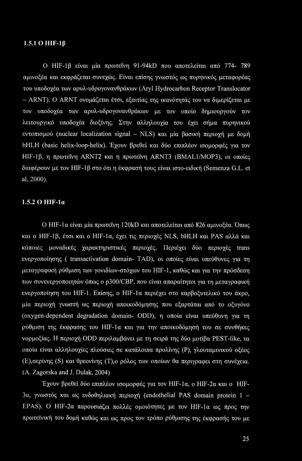 1.5.1 Ο HIF-Ιβ Ο HIF-Ιβ είναι μία πρωτεΐνη 91-94kD που αποτελείται από 774-789 αμινοξέα και εκφράζεται συνεχώς.