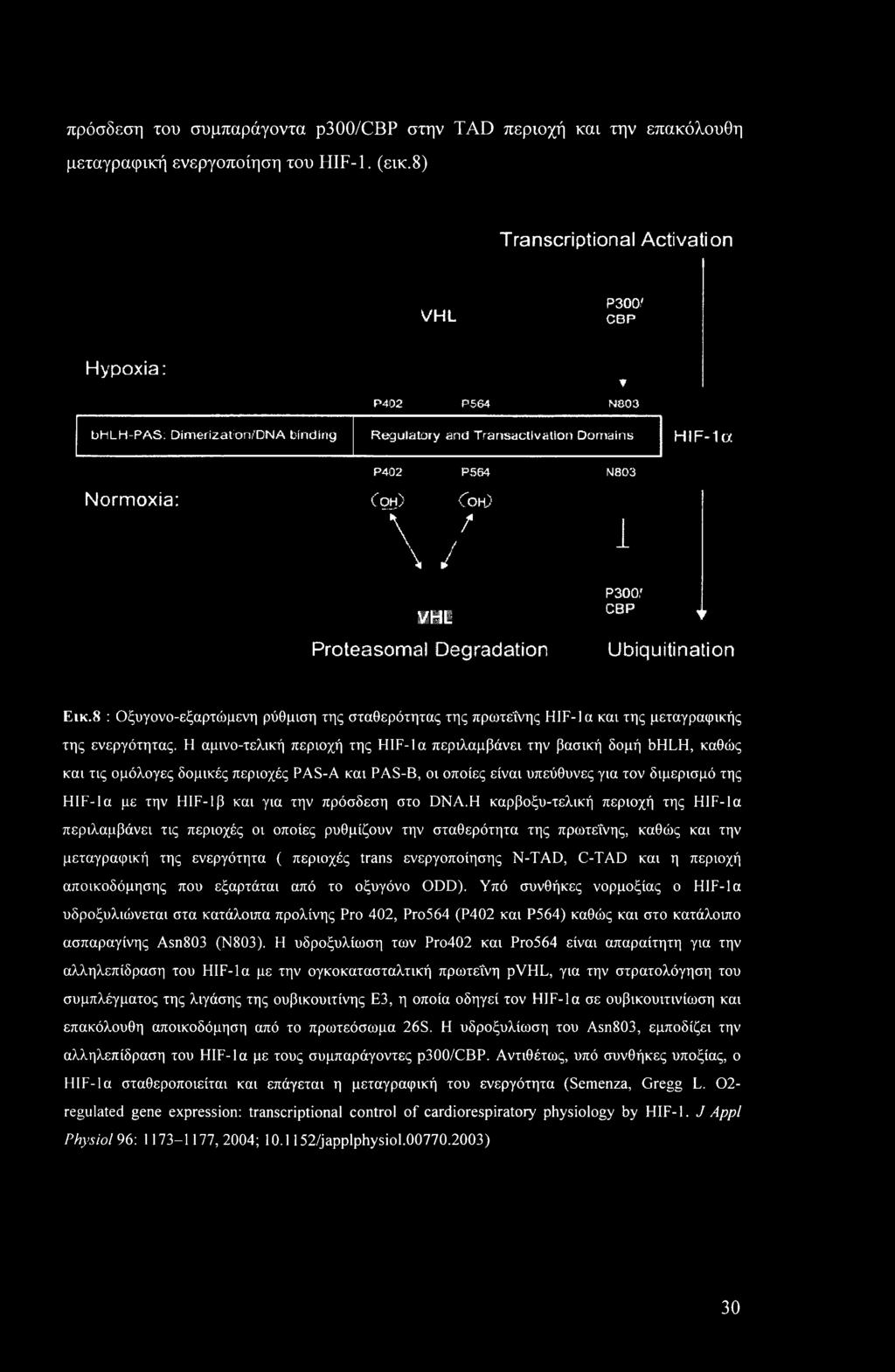 1 P300,' VHL CBP T Proteasomal Degradation Ubiquitination Εικ.8 : Οξυγονο-εξαρτώμενη ρύθμιση της σταθερότητας της πρωτεΐνης HIF-la και της μεταγραφικής της ενεργότητας.