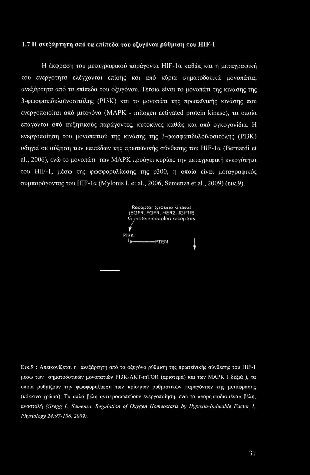 Τέτοια είναι το μονοπάτι της κινάσης της 3-φωσφατιδυλοϊνοσιτόλης (ΡΙ3Κ) και το μονοπάτι της πρωτεϊνικής κινάσης που ενεργοποιείται από μιτογόνα (ΜΑΡΚ - mitogen activated protein kinase), τα οποία