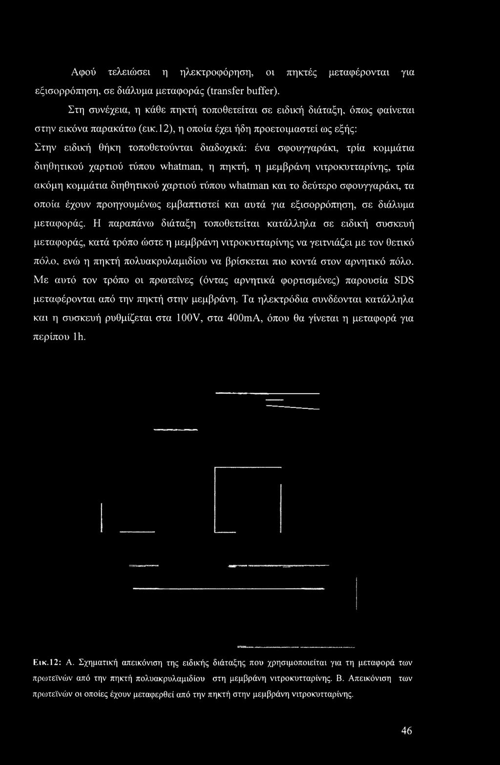 12), η οποία έχει ήδη προετοιμαστεί ως εξής: Στην ειδική θήκη τοποθετούνται διαδοχικά: ένα σφουγγαράκι, τρία κομμάτια διηθητικού χαρτιού τύπου whatman, η πηκτή, η μεμβράνη νιτροκυτταρίνης, τρία ακόμη