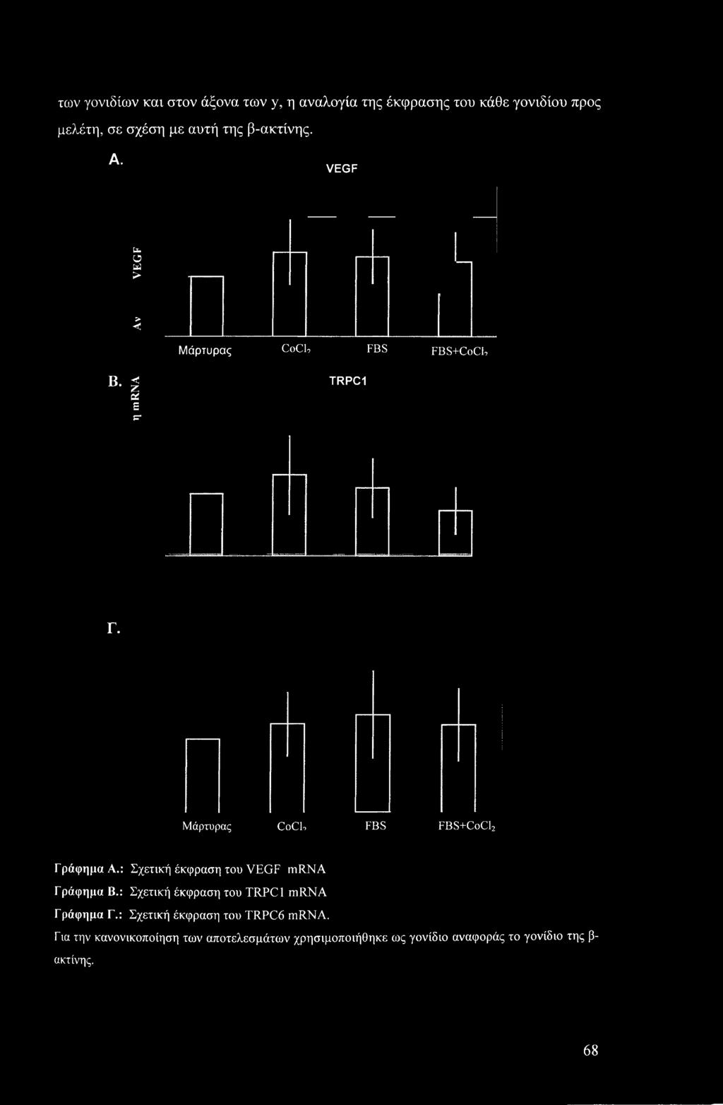 : Σχετική έκφραση του VEGF mrna Γράφημα Β.