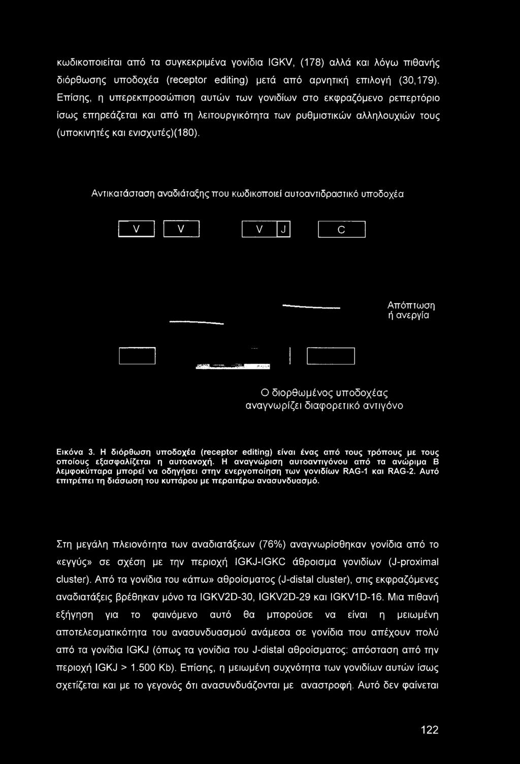 Αντικατάσταση αναδιάταξης που κωδικοποιεί αυτοαντιδραστικό υποδοχέα V V V J C Απόπτωση ή ανεργία Ο διορθωμένος υποδοχέας αναγνωρίζει διαφορετικό αντιγόνο Εικόνα 3.