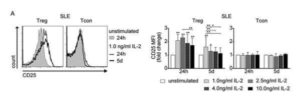 IL 2 and T regs in human SLE Διαταραχές Τ regs τον ΣΕΛ Σχετιζόμενες με ανεπάρκεια IL 2 σε ζωικά μοντέλα ΣΕΛ (Humrich JY, PNAS, 2010) Αριθμητικές και δυσλειτουργικές ανωμαλίες T regs σε ασθενείς με