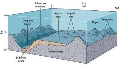 Βαθύς Ωκεάνιος Πυθμένας Ωκεάνιοι Τάφροι.