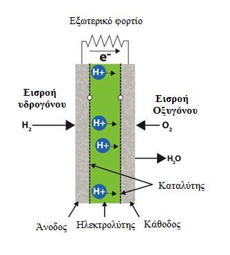 ΚΕΦΑΛΑΙΟ 2: ΔΙΕΣΠΑΡΜΕΝΗ ΠΑΡΑΓΩΓΗ 2.4.1.2.2 Κυψέλες καυσίμου Η κυψέλη καυσίμου (fuel cell FC) είναι μια ηλεκτροχημική συσκευή που καταναλώνει υδρογόνο και οξυγόνο και παράγει ηλεκτρική ενέργεια, θερμότητα και νερό.