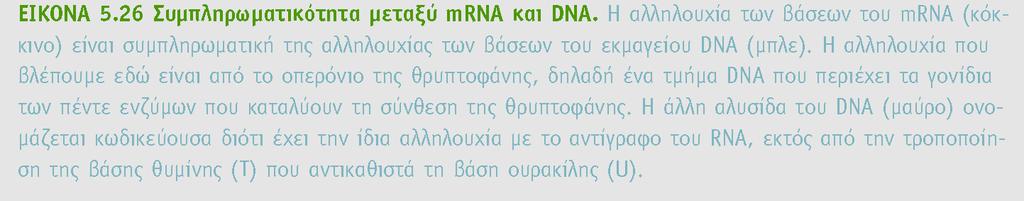 BIOXHMEIA, TOMOΣ I ΠANEΠIΣTHMIAKEΣ EKΔOΣEIΣ KPHTHΣ H ΠΟΛΥΜΕΡΑΣΗ