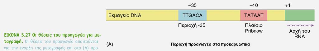 BIOXHMEIA, TOMOΣ I