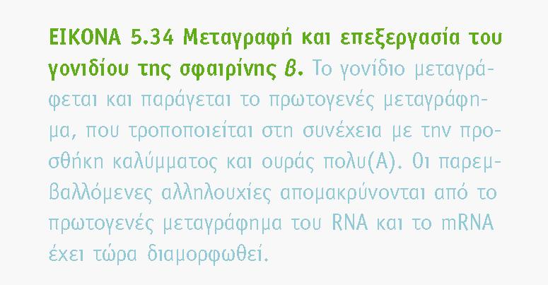 BIOXHMEIA, TOMOΣ I ΠANEΠIΣTHMIAKEΣ EKΔOΣEIΣ KPHTHΣ ΜΑΤΙΣΜΑ