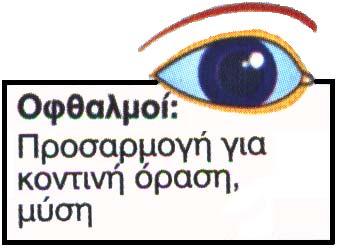 Αυτόνοµο