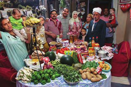 Τα Τρόφιμα... η Ζωή μας! 291 Η οικογένεια Ahmet από την Αίγυπτο. Εβδομαδιαία έξοδα: 68,53$ (φωτό: TIMES magazine 7/2005) Η οικογένεια Aboubakar από το Τσαντ.