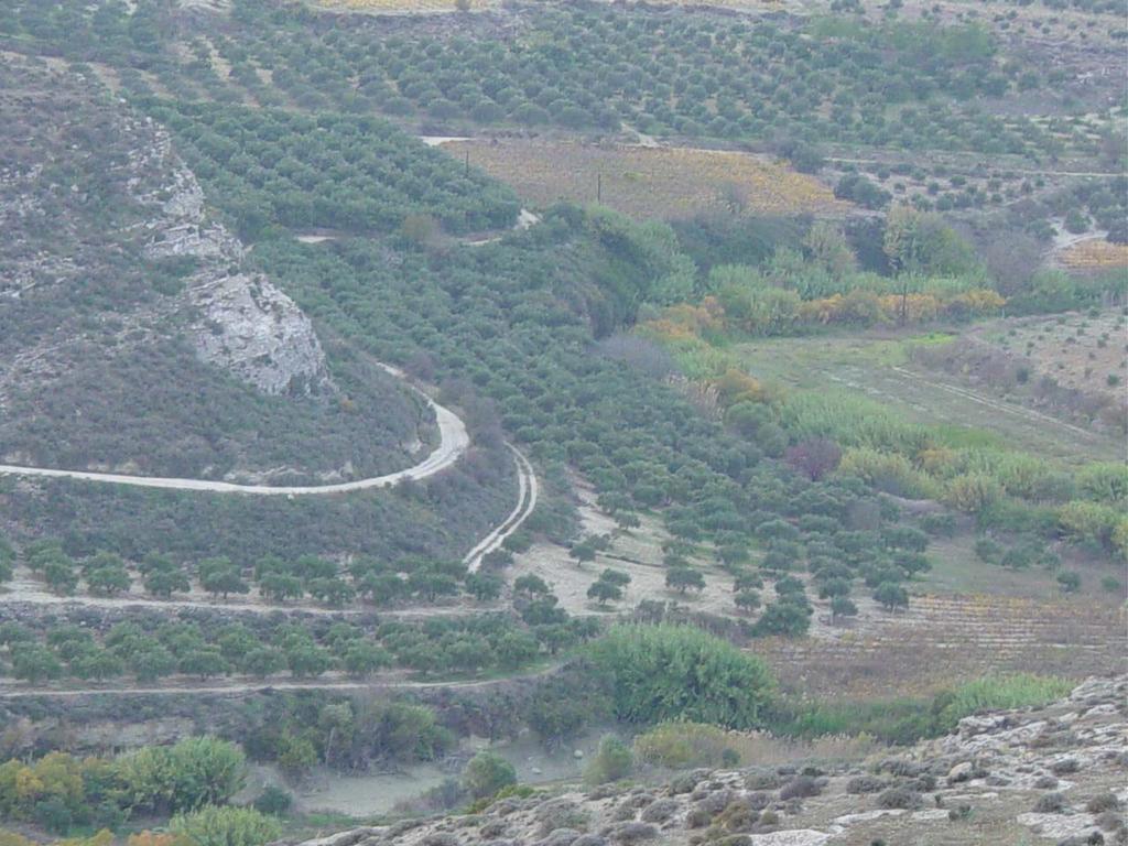 Παράρτηµα φωτογραφιών